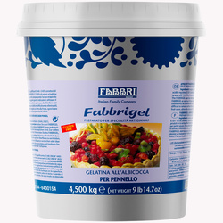 FABBRI - Apricot Fabbrigel (quick-setting spoon)  4,5kg